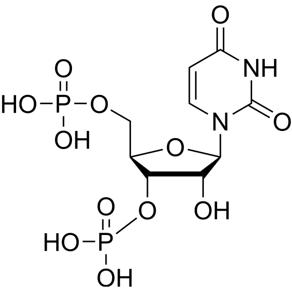 Uridine 3′,5′-diphosphate 2922-95-4